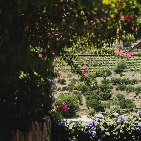 Pensjonat Quinta Da Travessa - Douro 4*