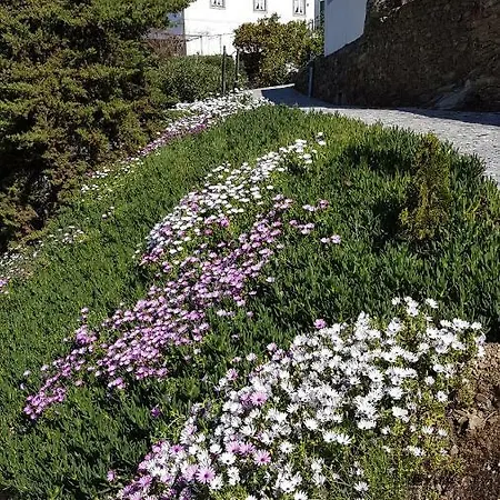 Quinta Da Travessa - Douro Pensionat 3*