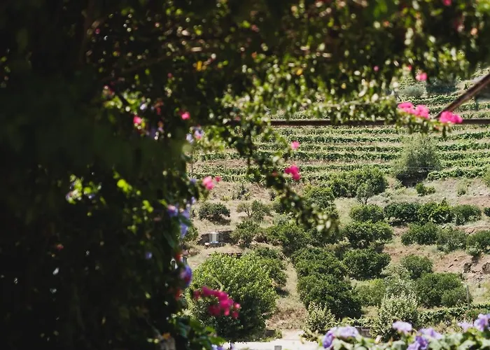 Casa de hóspedes Quinta Da Travessa - Douro 4*