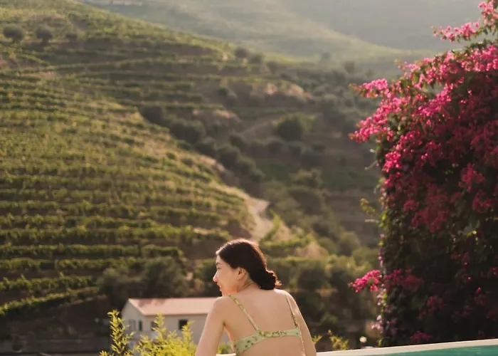 Guest house Quinta Da Travessa - Douro